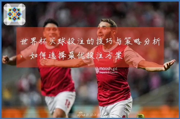 世界杯买球投注的技巧与策略分析，如何选择最优投注方案