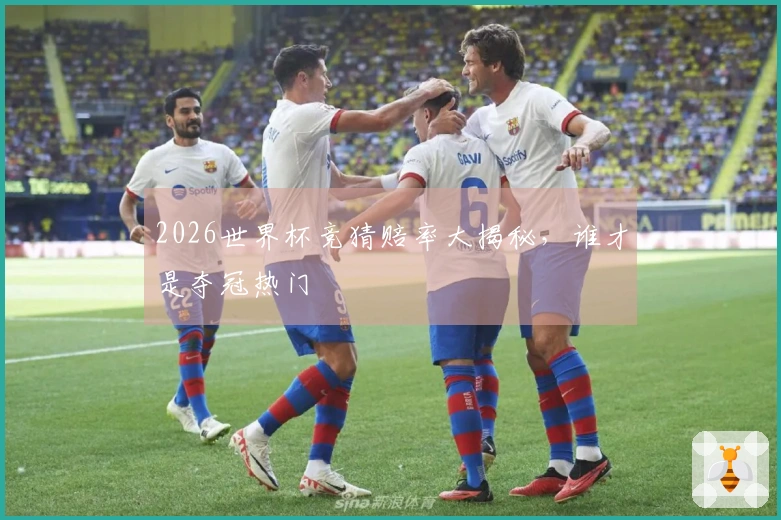 2026世界杯竞猜赔率大揭秘，谁才是夺冠热门