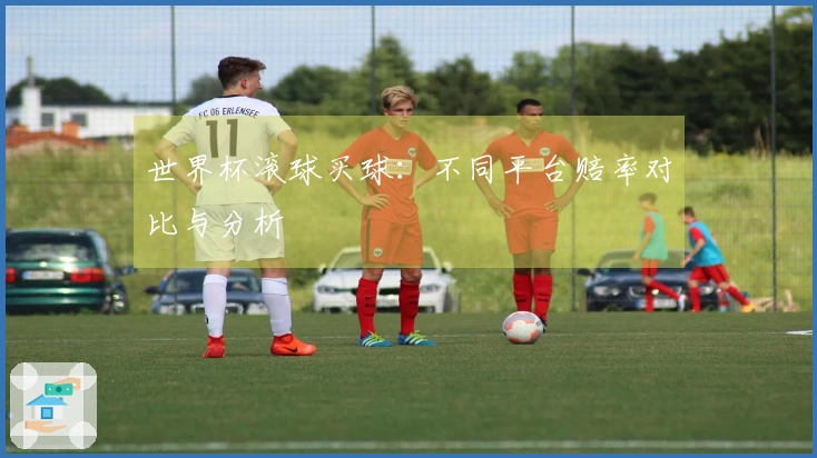 世界杯滚球买球：不同平台赔率对比与分析