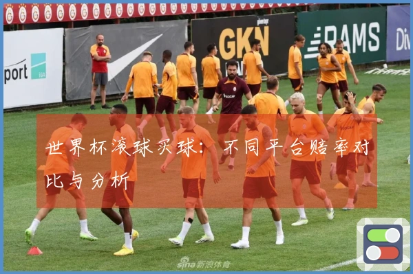 世界杯滚球买球：不同平台赔率对比与分析