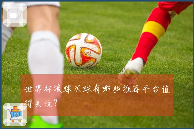 世界杯滚球买球有哪些推荐平台值得关注？