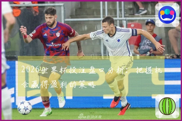 2026世界杯投注盘口分析：把握机会赢得盈利的策略