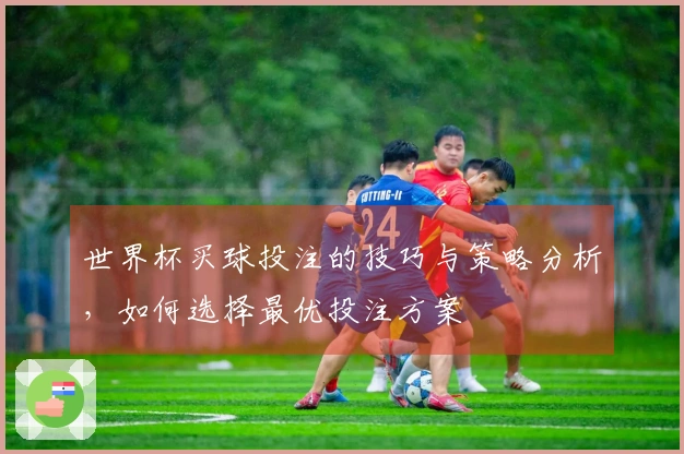 世界杯买球投注的技巧与策略分析，如何选择最优投注方案