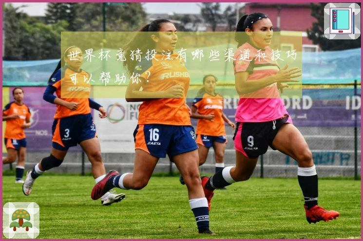 世界杯竞猜投注有哪些渠道和技巧可以帮助你？