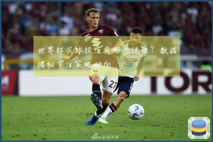 世界杯买球投注有哪些玩法？数据揭秘下注策略动向