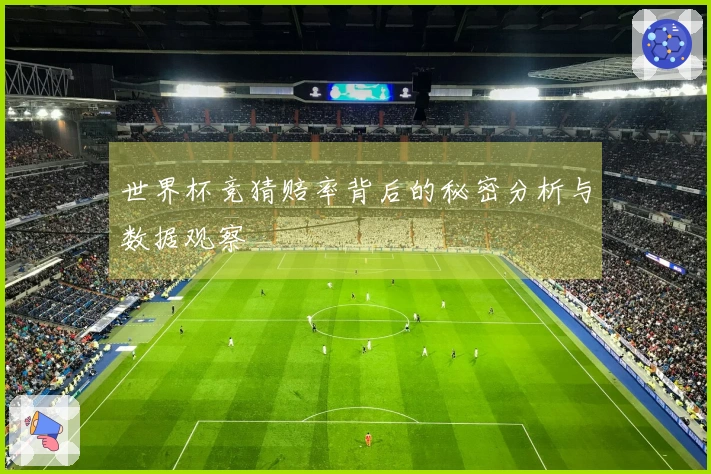 世界杯竞猜赔率背后的秘密分析与数据观察