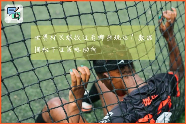 世界杯买球投注有哪些玩法？数据揭秘下注策略动向
